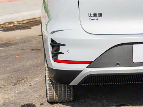 2025�� DM-i 115KM �����