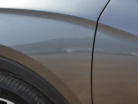 2025�� DM-i 115KM�콢��