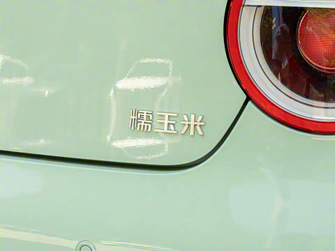 2025�� 205km ���߿�