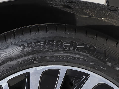 2025�� ���� 265 Pro�������ٸ�����ʻ