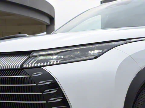 2024�� ��ҫ�� DM-i 100KM ������