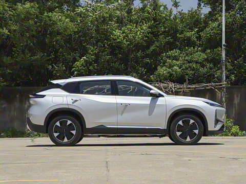 2025�� 205��������������