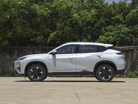 2025�� 205��������������