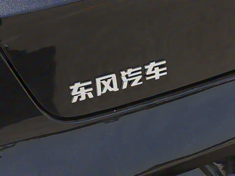 2025�� ���� 230ProѲ����