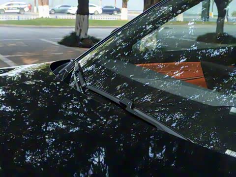 2025�� 215�����콢PLUS