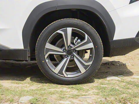 2025�� ���Ĵ� 2.0TD DCT �Ȱ�