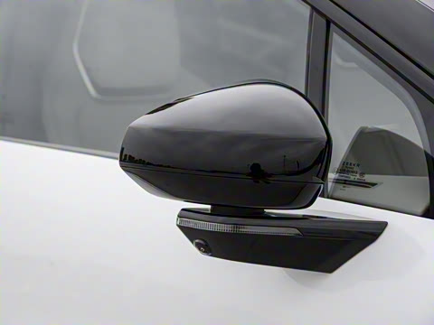 2025�� ������������