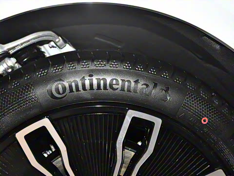 2024�� Max���̰�