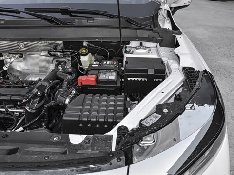 2024�� 1.5T CVT���»�����