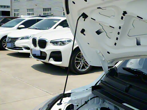 2025�� Mate 305km�Ƽ���