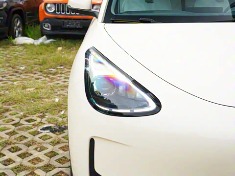 2025�� 310km �ഺ��