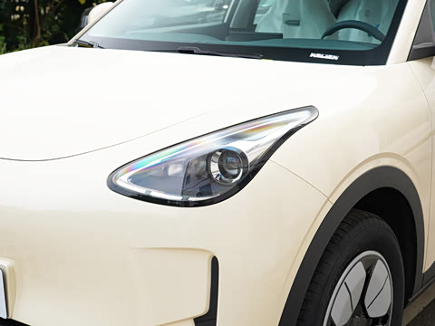 2025�� 310km �ഺ��