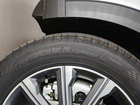 2025�� 100������Plus����