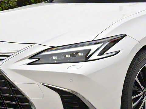 2025�� 300h ������