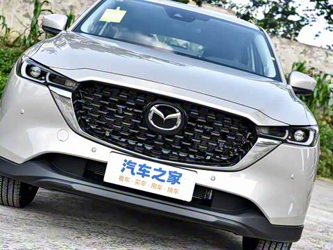 2025�� 2.0L �Զ���������Pro