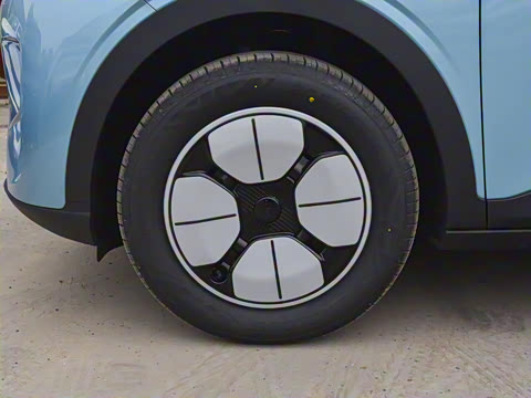 2025�� 310km �ഺ��