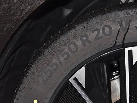 2024�� Max���������