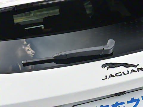 2025�� P250 R-Dynamic SE