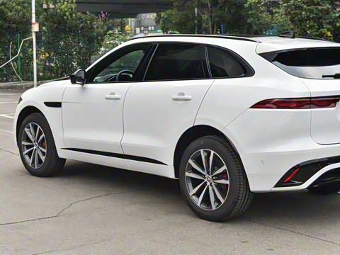 2025�� P250 R-Dynamic SE