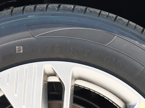 2025�� 445km ��ѡ��