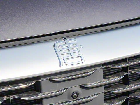 2025�� DM-i 115KM ������