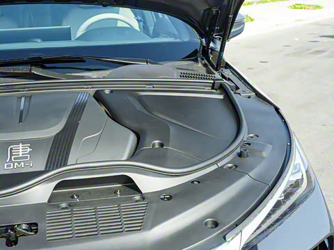 2025�� DM-i 115KM ������