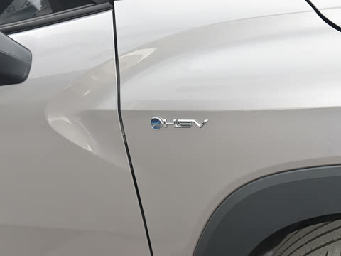 2024�� 2.0L ���ܵ��˫�� ��Ӣ��