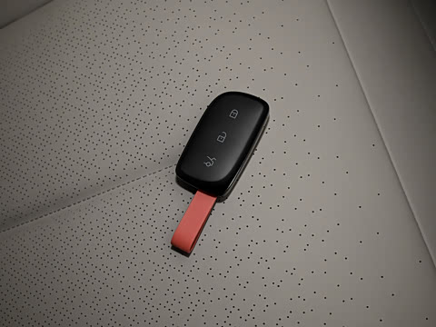 2025�� 530km ����Max