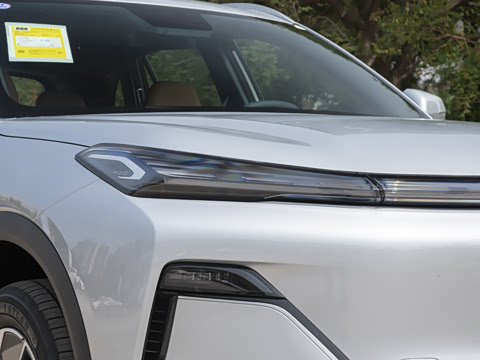 2025�� 55km ������