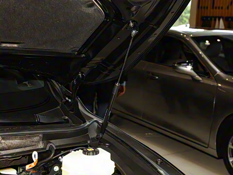 2025�� 350h ����������