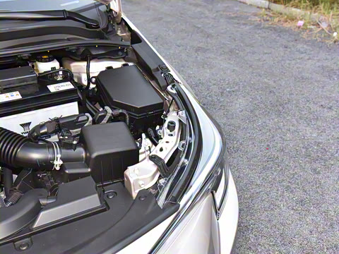 2024�� 185T CVT������