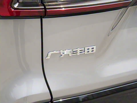 2024�� ˫�� 2.5L E-CVT��������PLUS��