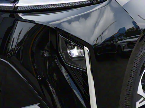 2025�� ������ ��ԭ������