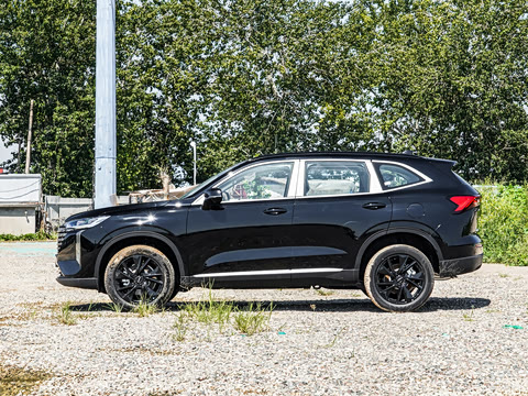 2024�� 2.0T ����Max