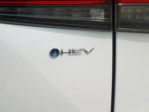 2024�� 2.5L���ܵ��˫��������Ӣ�� 5��