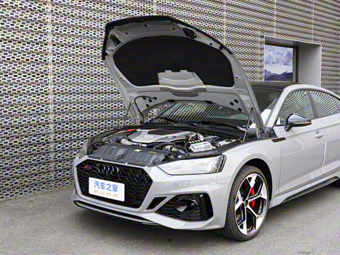 2024�� RS 5 2.9T Sportback ȼ���