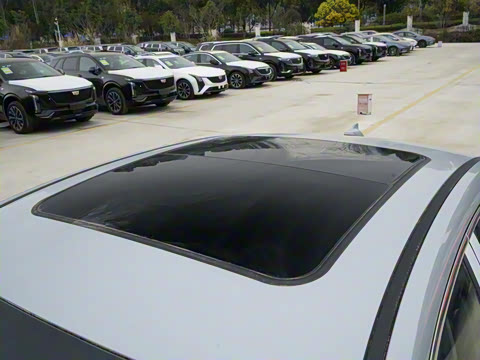 2025�� 1.6T DCT��