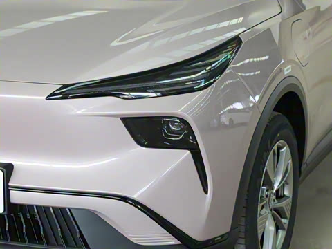 2025�� 445km ���ð�