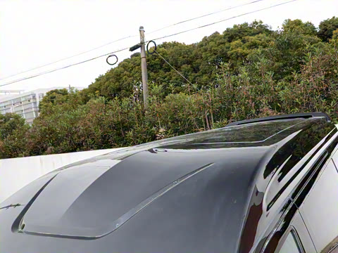 2025�� 2.0T ��άʿ����̩