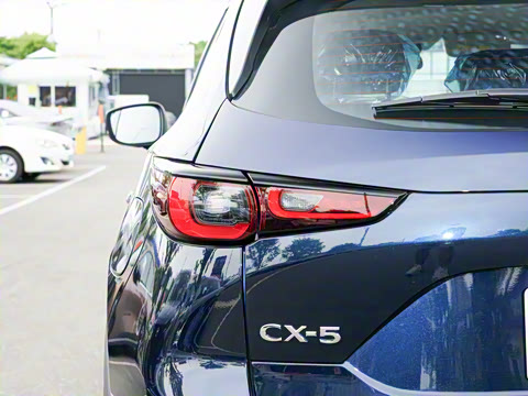 2025�� 2.0L �Զ�����������