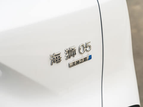 2025�� DM-i �Ǽݰ� 115KM������