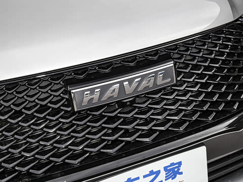 2024�� ������ 2.0T �Զ�����Max