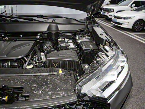 2024�� ������ 2.0T �Զ�����Max