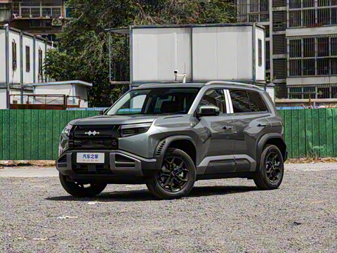 2025�� 501KM ����Max��