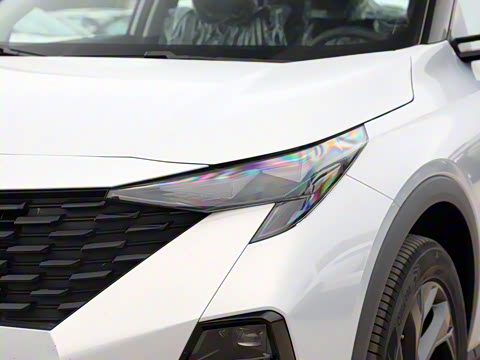 2025�� Ӱ�� 270T ������ ƽ������