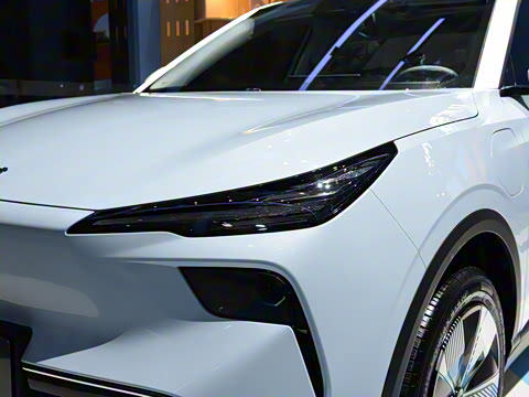 2025�� 565km ������