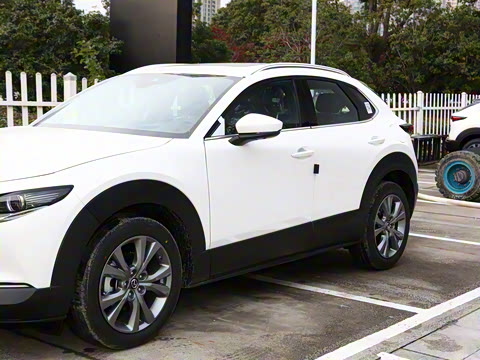 2024�� 2.0L �Զ�������