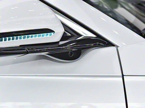 2025�� DM-i 80KM�����