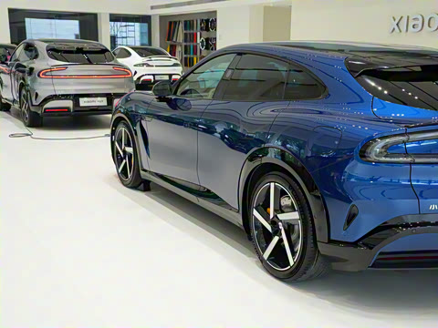 2025�� ������������������Max��