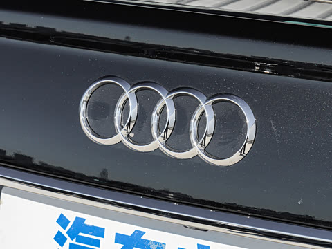 2025�� 45 TFSI quattro ��ѡ������